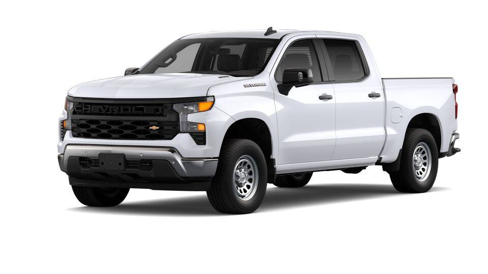 2025 Chevrolet Silverado 1500 Work Truck - Photo 47